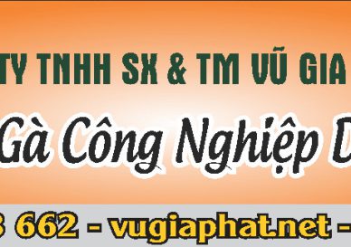 Trứng Gà Công Nghiệp DakLak