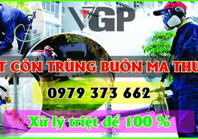 Diệt Côn Trùng Buôn Ma Thuột