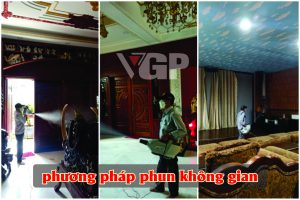 phun khong gian xu ly diet con trung