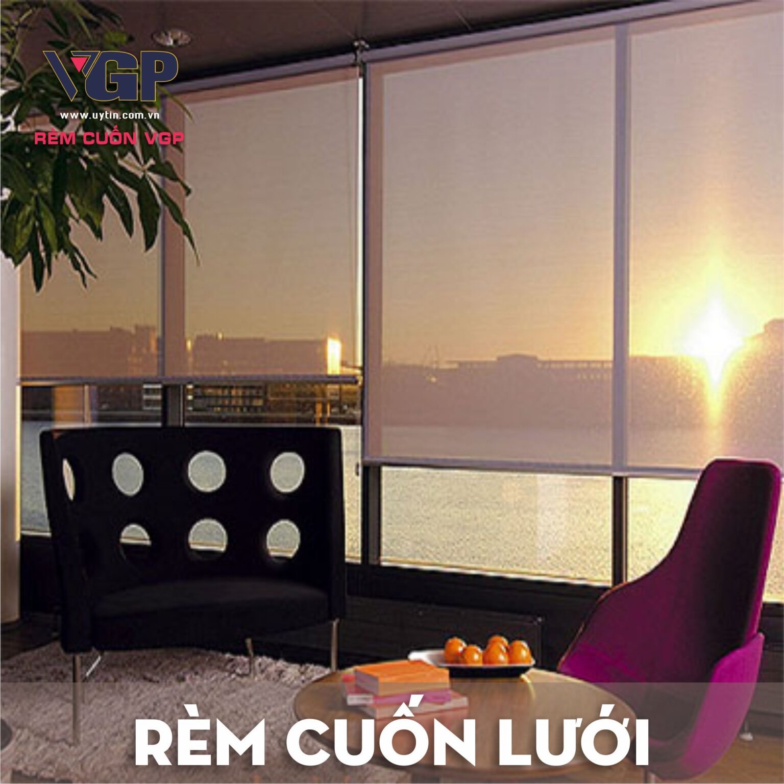 Rèm cuốn lưới daklak